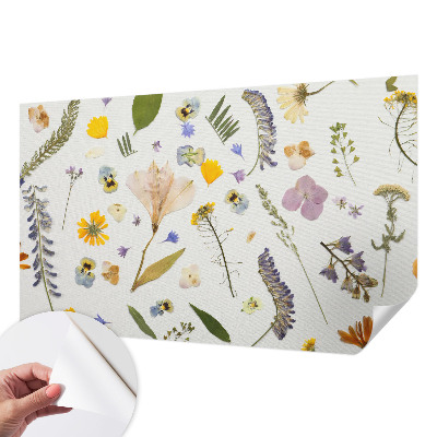 Selbstklebende Fototapete fürs Kinderzimmer Frühlingsblumen