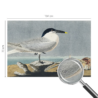 Selbstklebende Fototapete fürs Kinderzimmer Ornithologische Eleganz