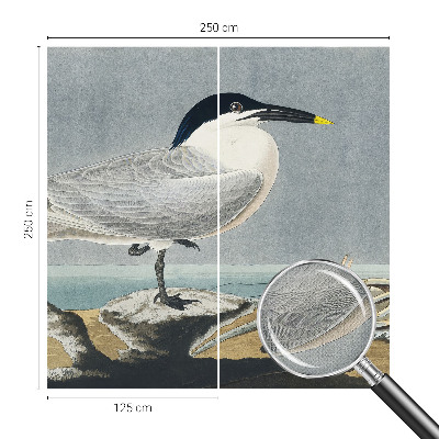 Selbstklebende Fototapete fürs Kinderzimmer Ornithologische Eleganz