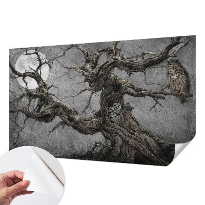 Motivtapete fürs Wohnzimmer Geheimnisvolle Eule