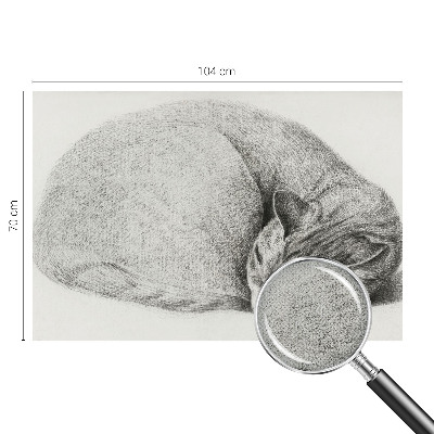 Selbstklebende Fototapete Zusammengerollte Katze