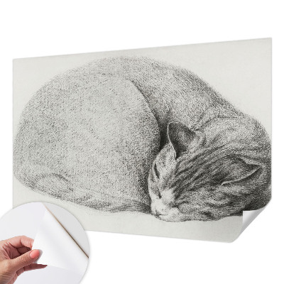 Selbstklebende Fototapete Zusammengerollte Katze