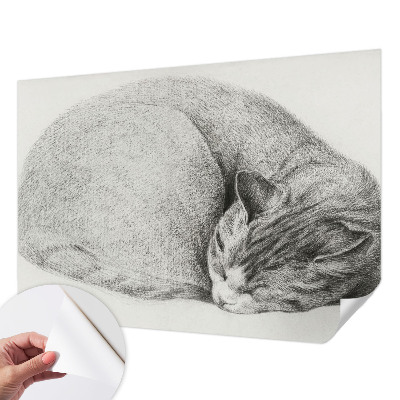 Selbstklebende Fototapete Zusammengerollte Katze