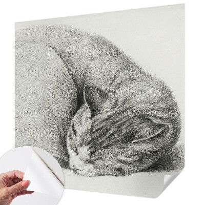 Selbstklebende Fototapete Zusammengerollte Katze