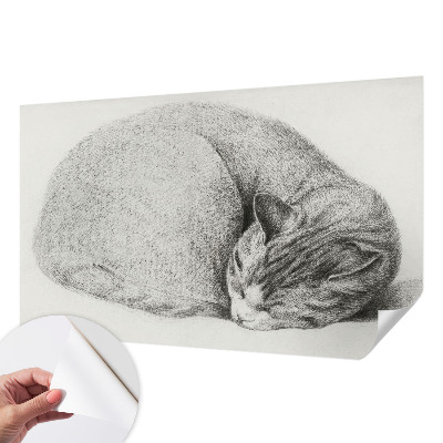 Selbstklebende Fototapete Zusammengerollte Katze