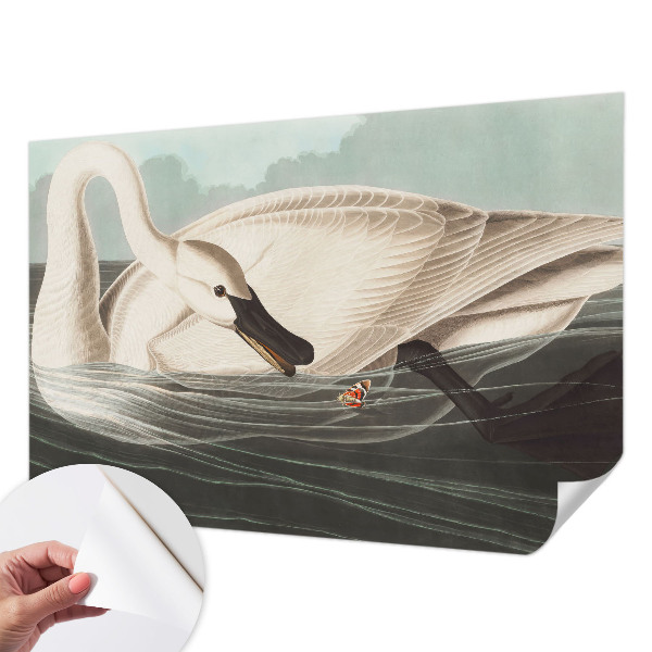 3D-Fototapete Harmonie der Natur