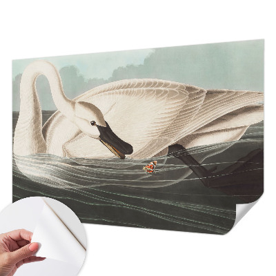 3D-Fototapete Harmonie der Natur