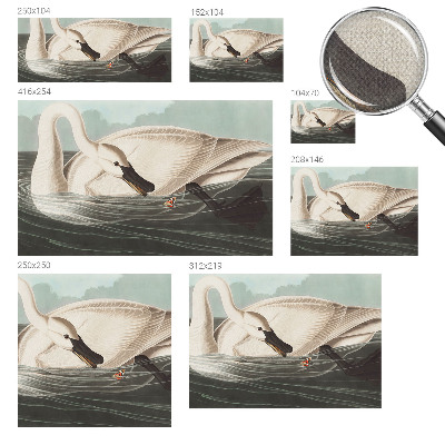 3D-Fototapete Harmonie der Natur