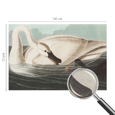 3D-Fototapete Harmonie der Natur