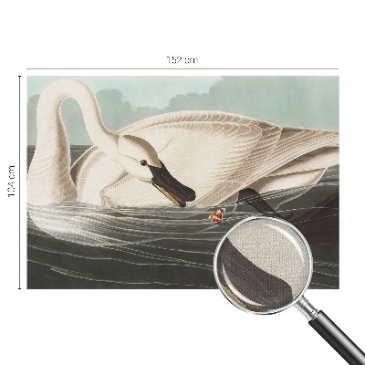 3D-Fototapete Harmonie der Natur