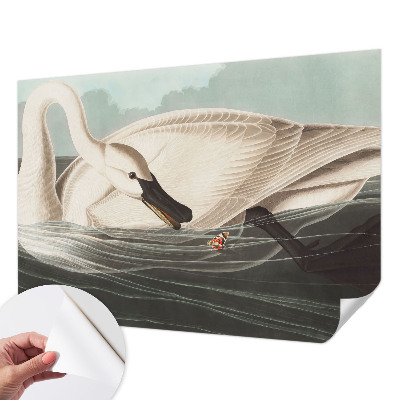 3D-Fototapete Harmonie der Natur