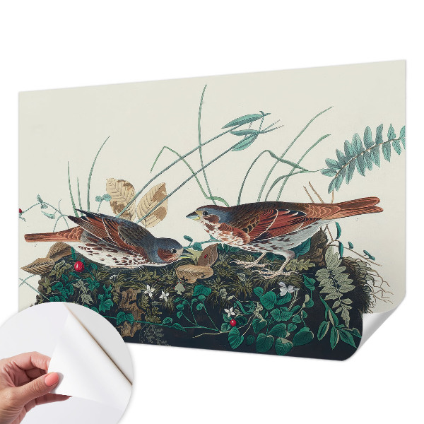 Fototapete in 3D-Optik Der Zauber der Natur