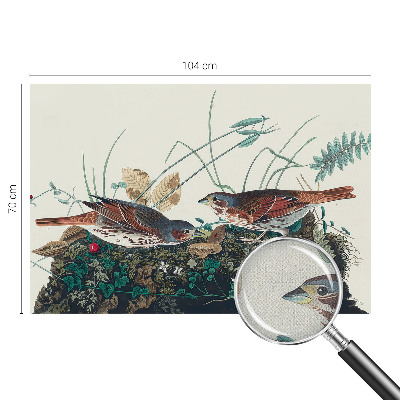 Fototapete in 3D-Optik Der Zauber der Natur