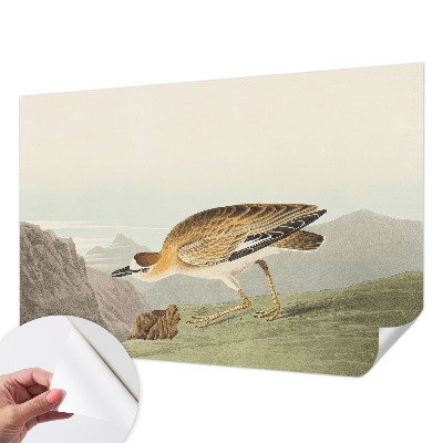 3D-Fototapete fürs Wohnzimmer Bergvogel