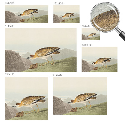 3D-Fototapete fürs Wohnzimmer Bergvogel