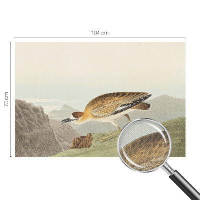 3D-Fototapete fürs Wohnzimmer Bergvogel