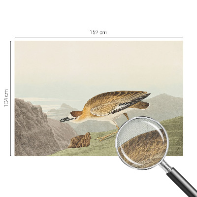 3D-Fototapete fürs Wohnzimmer Bergvogel