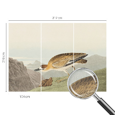 3D-Fototapete fürs Wohnzimmer Bergvogel