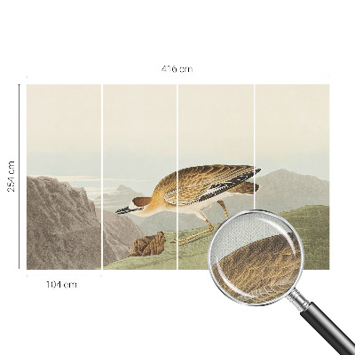 3D-Fototapete fürs Wohnzimmer Bergvogel