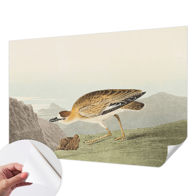 3D-Fototapete fürs Wohnzimmer Bergvogel