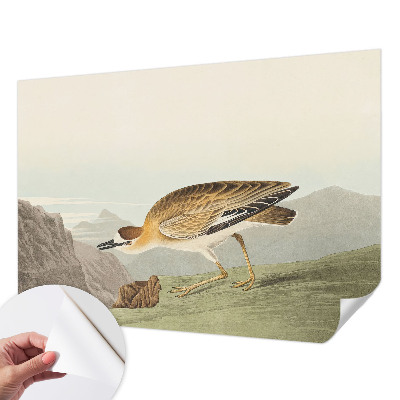 3D-Fototapete fürs Wohnzimmer Bergvogel