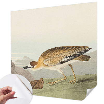 3D-Fototapete fürs Wohnzimmer Bergvogel