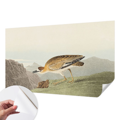 3D-Fototapete fürs Wohnzimmer Bergvogel