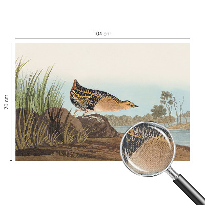 3D-Fototapete fürs Schlafzimmer Naturszene