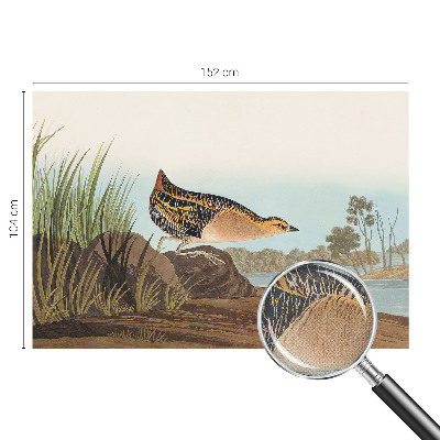 3D-Fototapete fürs Schlafzimmer Naturszene