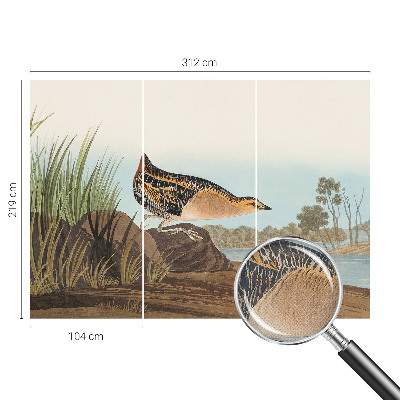 3D-Fototapete fürs Schlafzimmer Naturszene