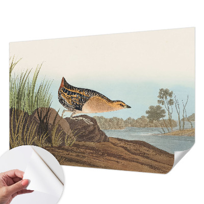 3D-Fototapete fürs Schlafzimmer Naturszene