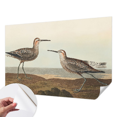 3D-Fototapete Vogelsilhouetten