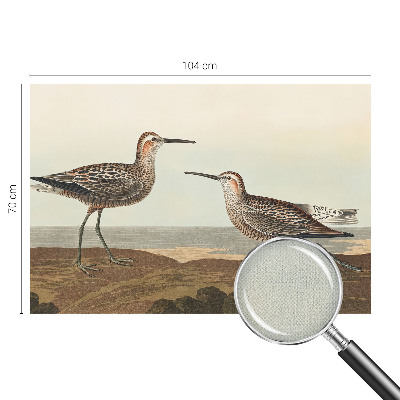 3D-Fototapete Vogelsilhouetten