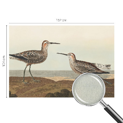 3D-Fototapete Vogelsilhouetten