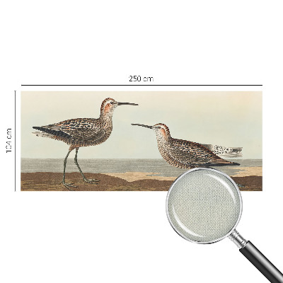 3D-Fototapete Vogelsilhouetten