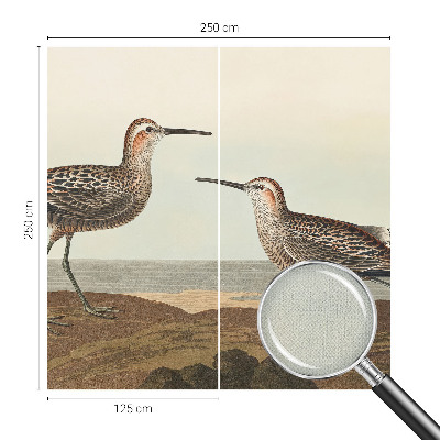 3D-Fototapete Vogelsilhouetten