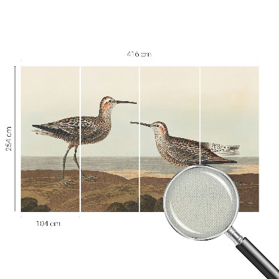 3D-Fototapete Vogelsilhouetten