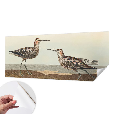 3D-Fototapete Vogelsilhouetten