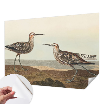 3D-Fototapete Vogelsilhouetten