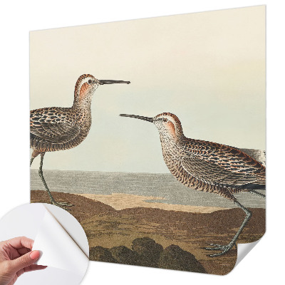 3D-Fototapete Vogelsilhouetten