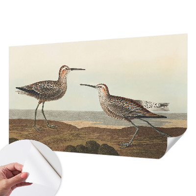 3D-Fototapete Vogelsilhouetten