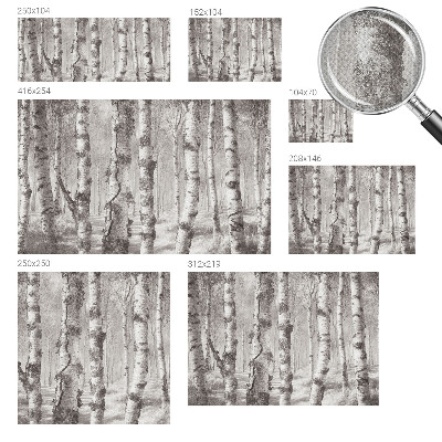 Moderne Fototapete nach Maß Birkenwald