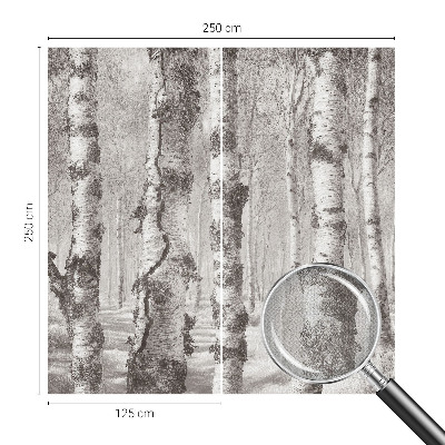 Moderne Fototapete nach Maß Birkenwald