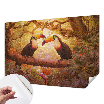 3D-Fototapete fürs Wohnzimmer Bunte Tukane