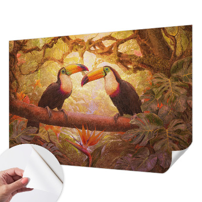 3D-Fototapete fürs Wohnzimmer Bunte Tukane