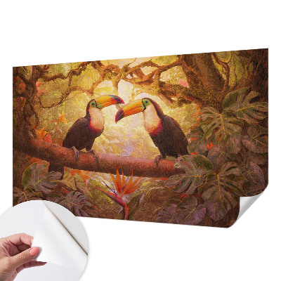 3D-Fototapete fürs Wohnzimmer Bunte Tukane