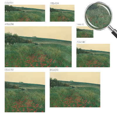 Hochwertige Bildtapete Mohnfelder