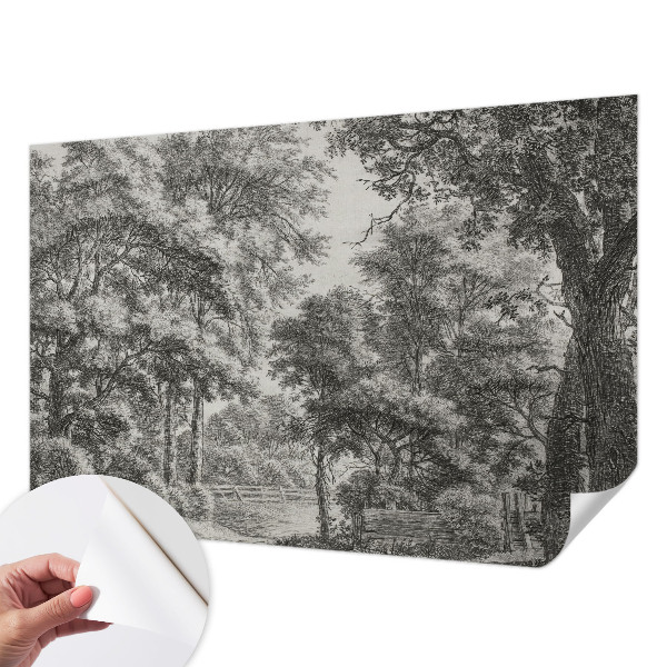3D-Fototapete Waldlandschaft
