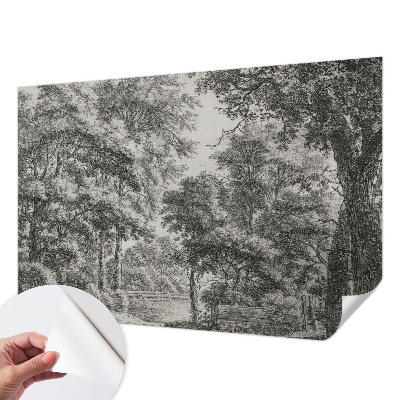 3D-Fototapete Waldlandschaft