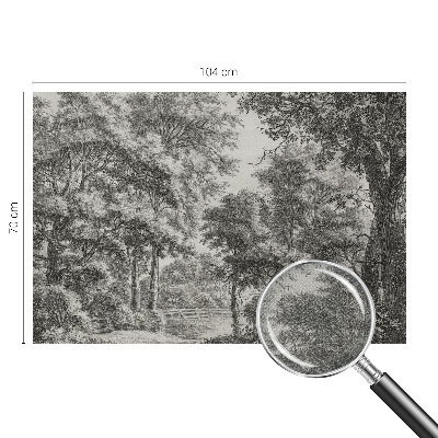 3D-Fototapete Waldlandschaft